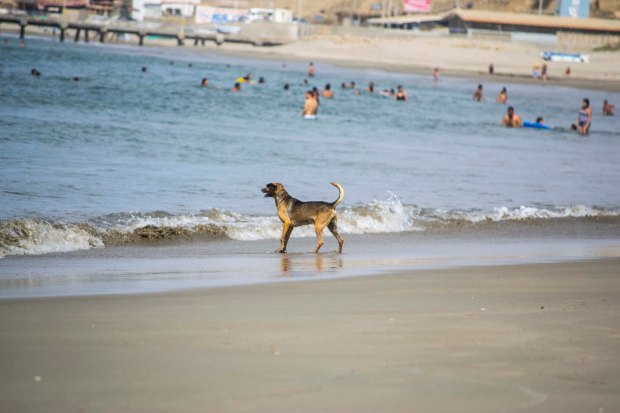 Imagen: Playa Punta Veleros.