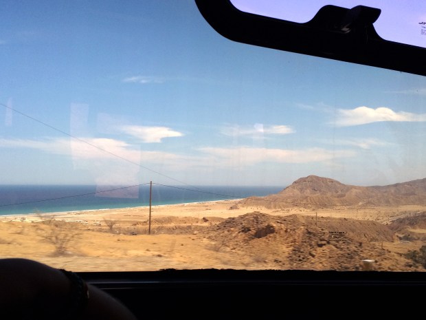 Imagen: Vista desde el ómnibus camino a Órganos.